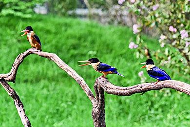 市场研究公司：EA是Xbox和PlayStation上用户粘性最高的公司