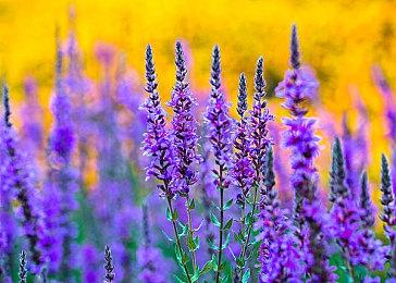 三上真司宣传《幽灵线：东京》 这不是一个恐怖游戏